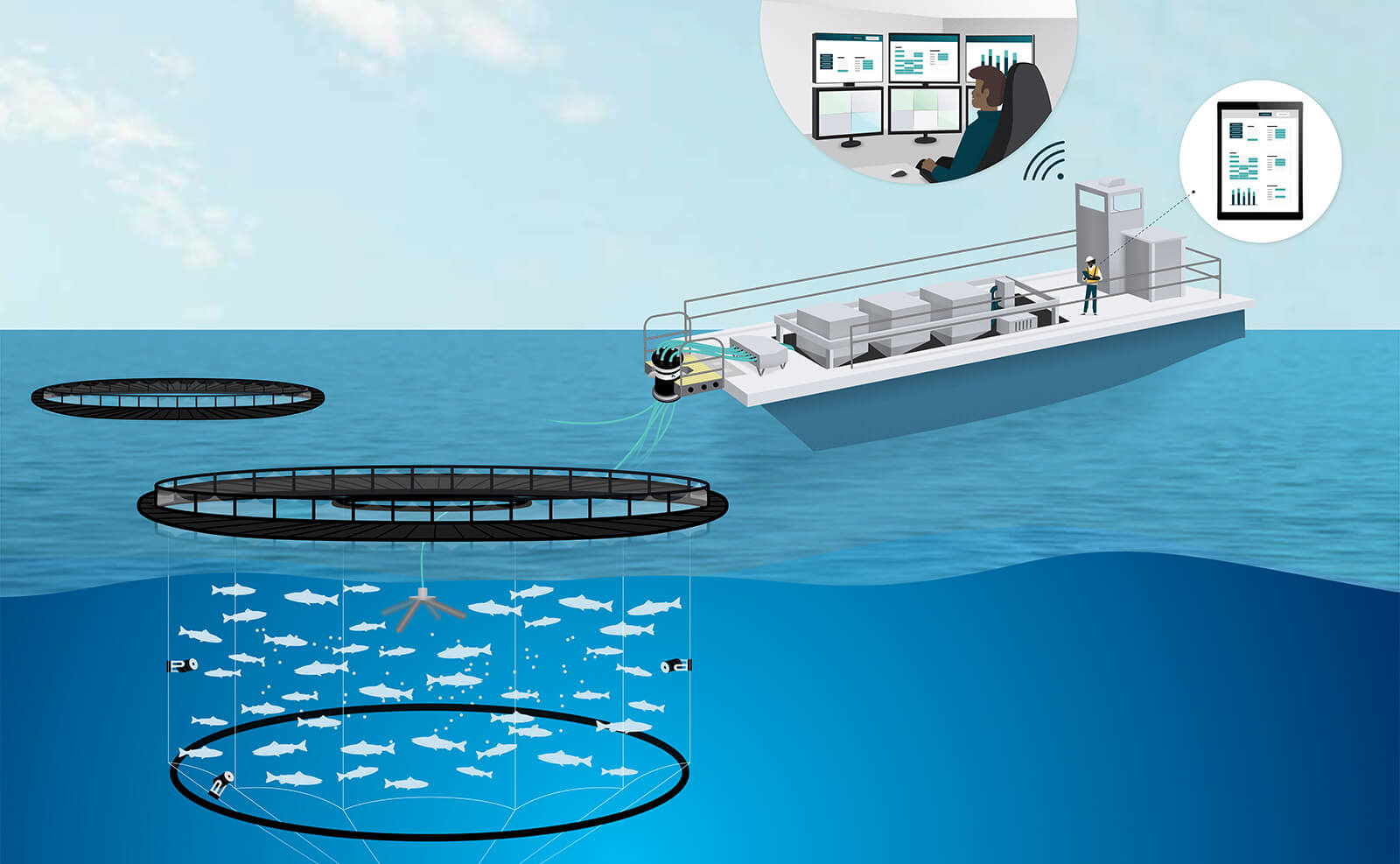 fish tracking icon